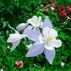 Meet your Posher, Bryndolyn